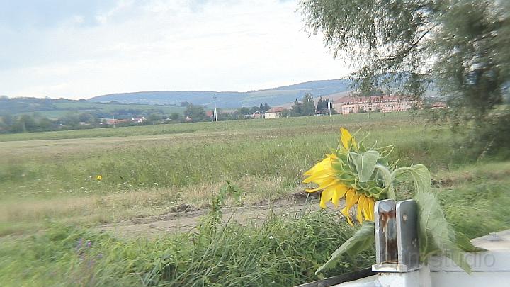 DSC00341.JPG - Sušice..?