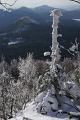 DSC05690