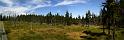 Panorama1