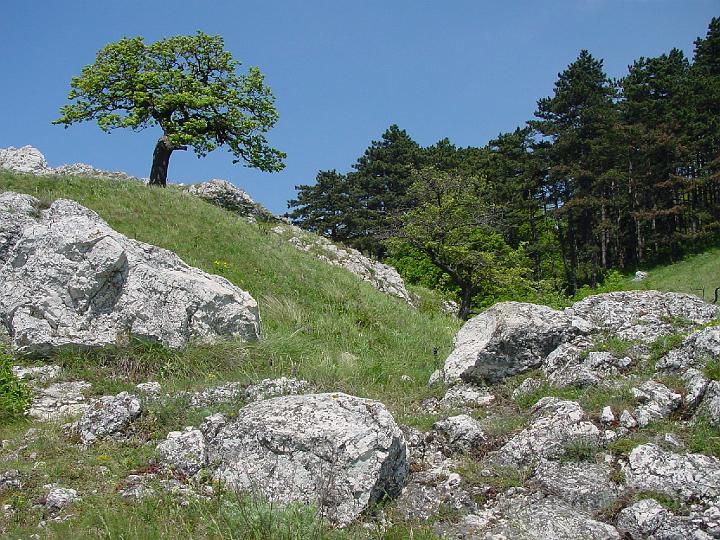 013DSC0.JPG - Pálava