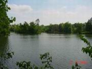 DSC00078.JPG