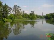 DSC00081.JPG