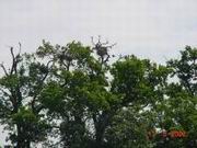 DSC00084.JPG