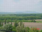 DSC00087.JPG