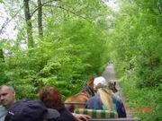DSC00093.JPG