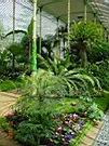 DSC00100.JPG