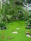 DSC00102.JPG