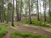DSC00046.JPG