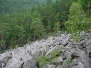 DSC00048.JPG