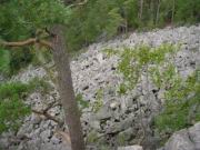 DSC00050.JPG