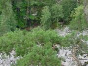 DSC00051.JPG