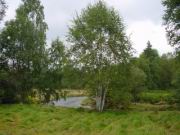 DSC00094.JPG