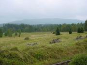 DSC00096.JPG