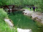 dsc00130.jpg