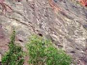 dsc00134.jpg