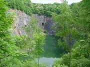 dsc00215.jpg