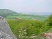 DSC00003.JPG