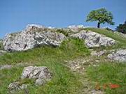 DSC00037.JPG