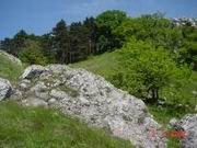 DSC00038.JPG