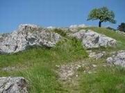 DSC00039.JPG
