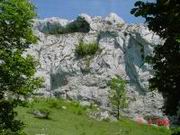 DSC00043.JPG