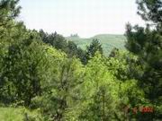 DSC00051.JPG