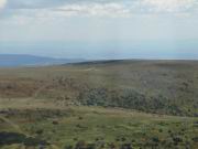 DSC00194.JPG