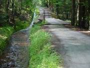 DSC00016.JPG