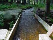DSC00020.JPG