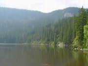 DSC00036.JPG