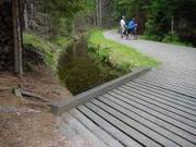 DSC00059.JPG