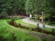 DSC00062.JPG